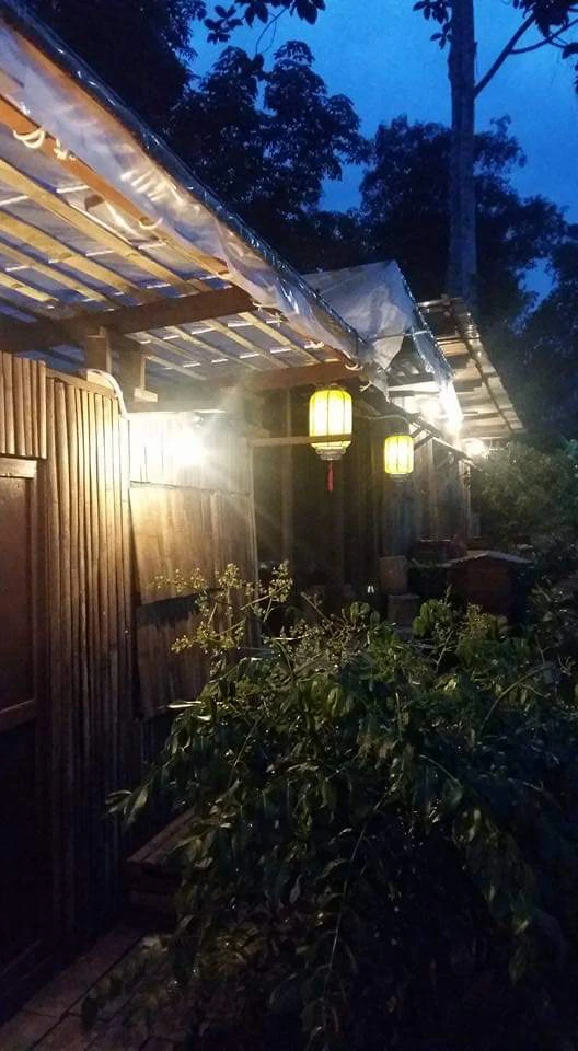 Warm lanterns light the wooden farmstay in the evening